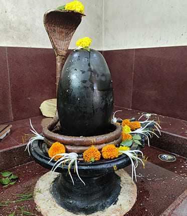 Kaal Sarp Dosh Nivaran Puja