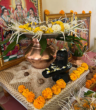 Kaal Sarp Puja Pandit